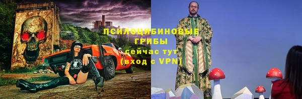 спиды Белокуриха